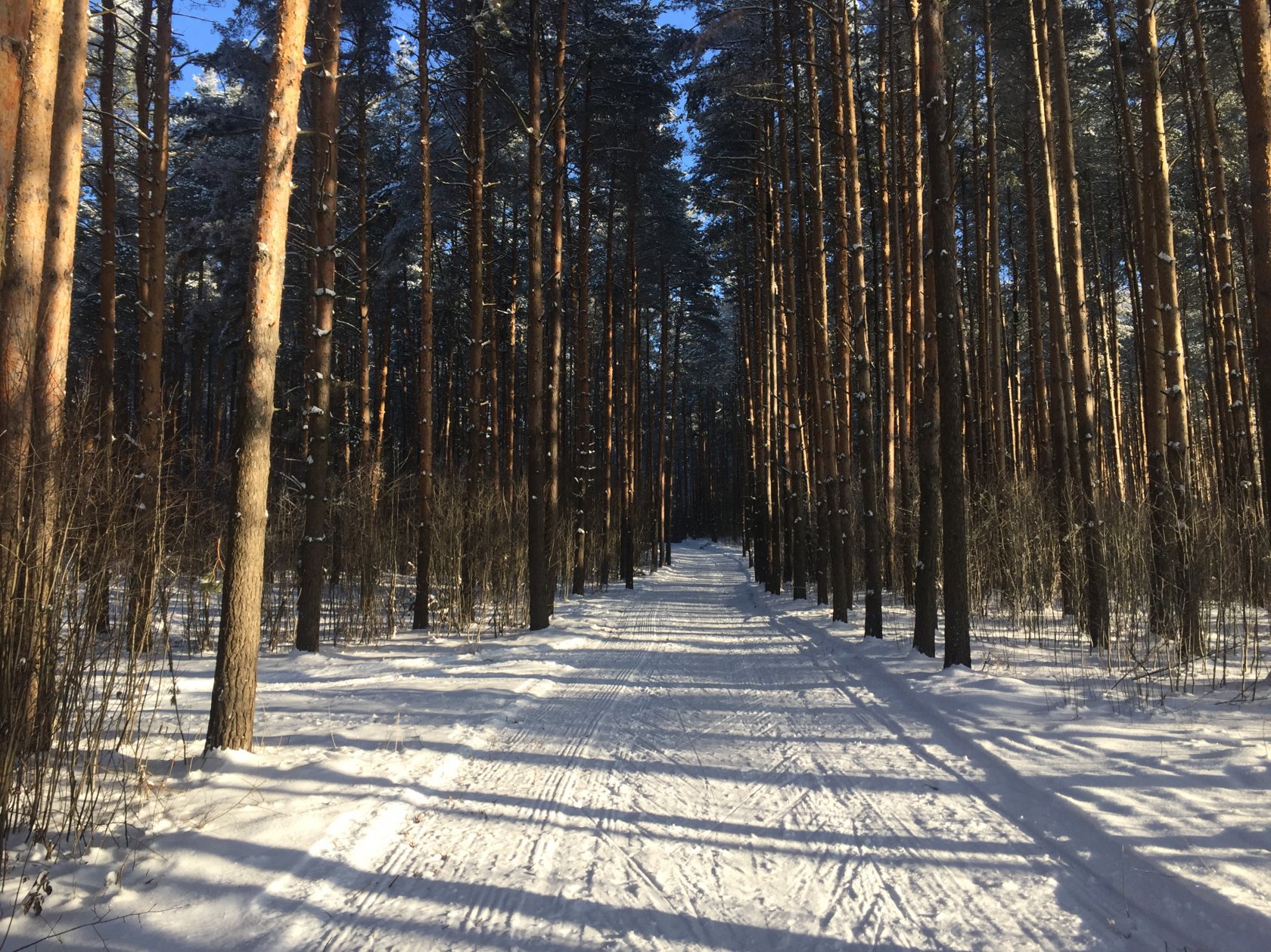 Осиновая гора - лыжная база в городе Шуя Ивановской области расписание,  график работы